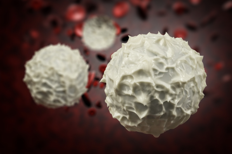 Knowing the Myelodysplastic Syndrome (MDS)