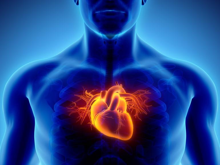 Studies Suggest the Coronavirus Causes Heart Problems