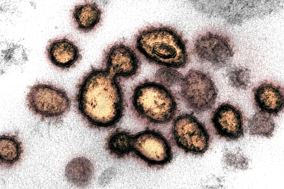 The World Health Organization Says the Coronavirus is not Mutating