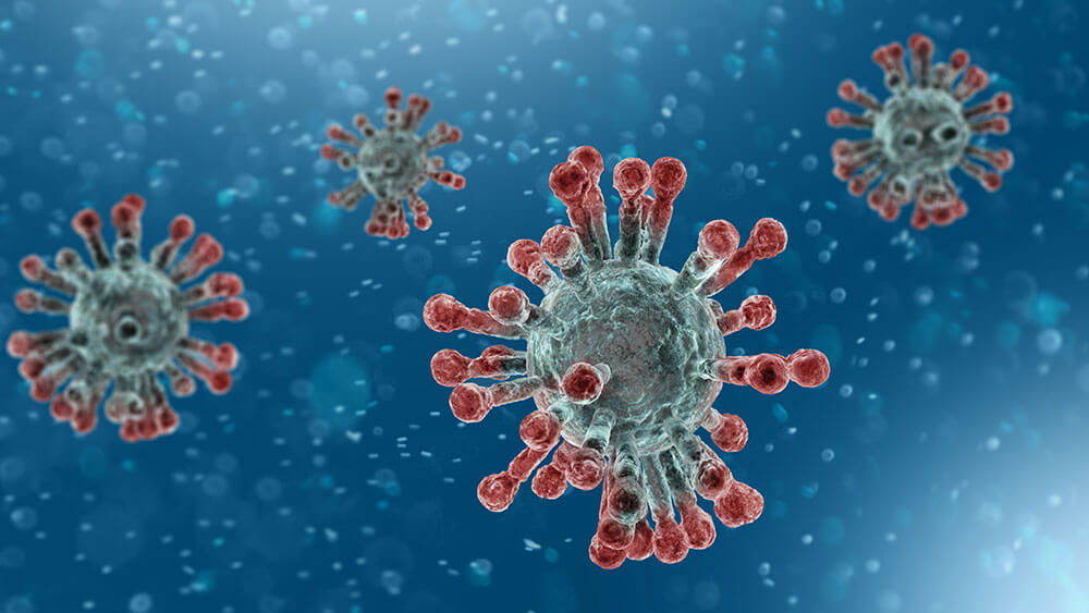Some Countries are Experiencing Success Battling the Coronavirus