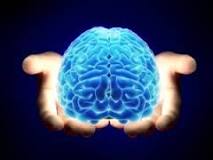 Understanding Alzheimers