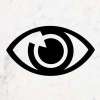 American Ophthalmological Society (AOS) Annual Meeting 2022