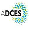 DSMES Program Management