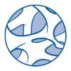 Bone Research Society (BRS) Clinical Training Course: Osteoporosis and Othe