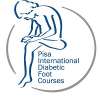 The 12th Pisa International Diabetic Foot Course