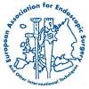 World Congress on Endoscopic Surgery (WCES) 2021