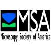 Microscopy & Microanalysis Conference 2023
