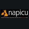 25th Annual National Association of Psychiatric Intensive Care and Low Secu