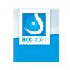 17th St.Gallen International Breast Cancer Conference 2021