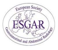 European Society of Gastrointestinal and Abdominal Radiology (ESGAR) Hands-on Workshop on CT Colonography (Oct 17 - 19, 2018)