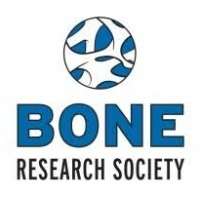 National Training Scheme for Bone Densitometry course 2018
