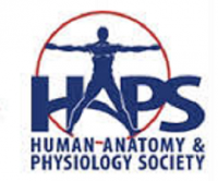 Human anatomy physiology society (HAPS) 34th Annual Conference