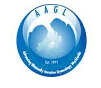 15th Annual Advanced Workshop On Gynecologic Laparoscopic Anatomy