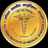 Workshop on Ultrasonographic Pain Medicine 2019