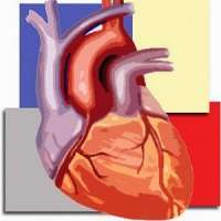 Cardiac CTA Maintenance