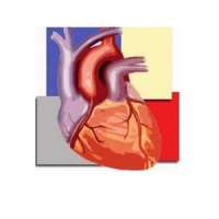 Cardiac CTA Maintenance