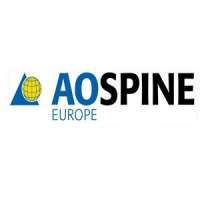 AO Spine Advanced Level Specimen Course - Posterior Spinal Approaches and Techniques