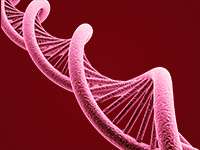 Next Generation Genomic Technologies and Bioinformatics