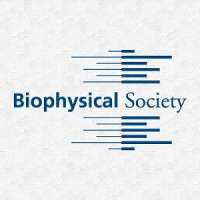 Biology and Physics Confront Cell-Cell Adhesion