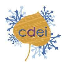 Clinical Diabetes and Endocrinology Institute (CDEI) 2020 Snowmass