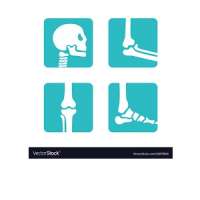 Orthopedics and Rheumatology World Forum
