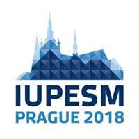World Congress on Medical Physics and Biomedical Engineering 2018