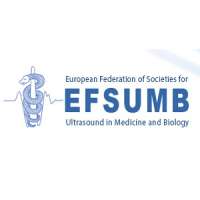 Endorsed Course: Ultrasound Summer School, Constanta 2019