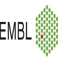 EMBO | EMBL Symposium: Multiomics to Mechanisms - Challenges in Data Integration