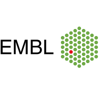 EMBO Practical Course: Techniques for Mammary Gland Research