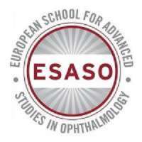 Retinal Imaging And Visual Electrophysiology