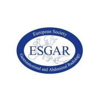 European Society of Gastrointestinal and Abdominal Radiology (ESGAR) Acute Abdomen Workshop 2019