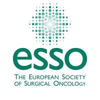 ESSO Course on Localization Techniques for Guided Breast Cancer Surgery