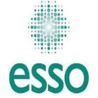 ESSO Course on Electrochemotherapy of Cutaneous and Deep Seated Tumors