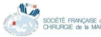Lyon Wrist 2018: International Advanced Course - Lyon (France) by French Society of Hand Surgery / Societe Francaise de Chirurgie de la Main (SFCM)