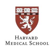 Innovations and New Practices in Internal Medicine 2020