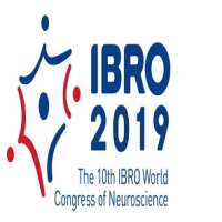 IBRO 2019 - The 10th IBRO World Congress of Neuroscience