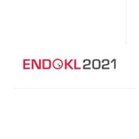 9th World Congress for Endoscopic Surgery of the Paranasal Sinuses, Skull Base, Brain and Spine (ENDOKL) 2021