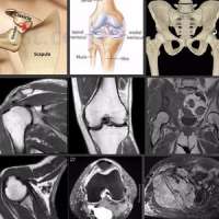 Dubai MSK MRI Workshop