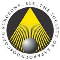 Society of Laparoendoscopic Surgeons (SLS) Minimally Invasive Surgery Week 2020 Annual Meeting
