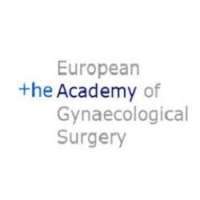 Gynaecological Endoscopic Surgical Education and Assessment (GESEA) Certification Session - Level 1(Oct 23, 2018)