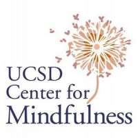 A 5-Day Mindfulness Retreat Course