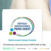 GI Endoscopy advanced course: EMR & ESD on Pigs 2019