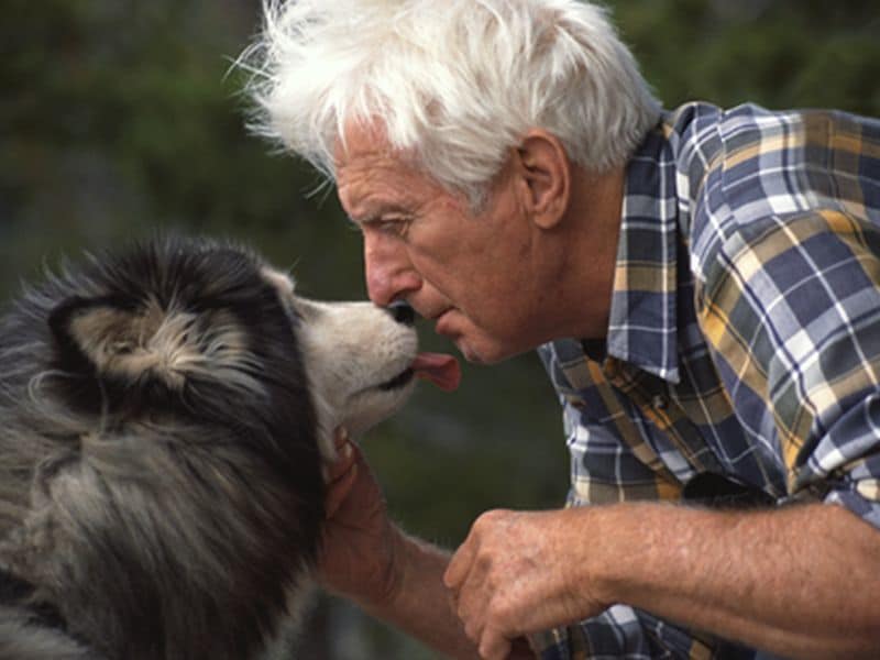 Dog's Saliva Caused Bacterial Infection Leading to Amputations