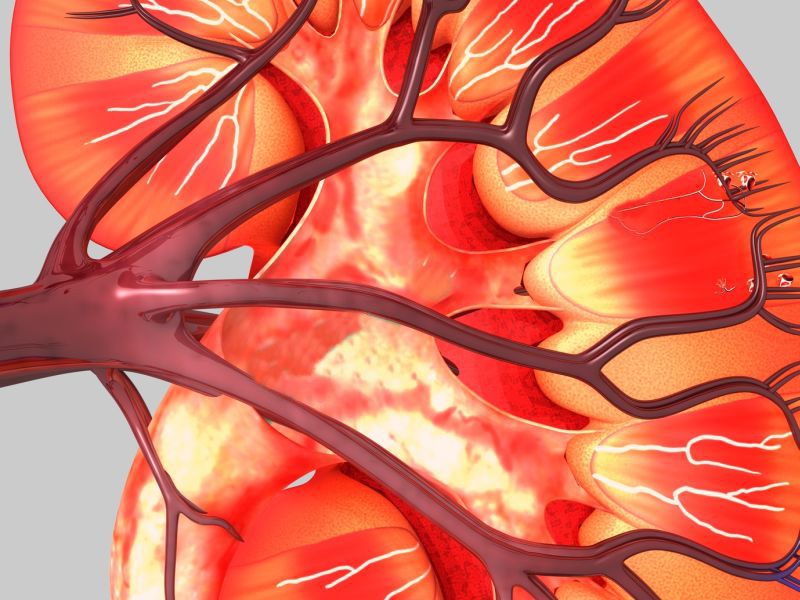 Air Pollution May Damage Kidneys