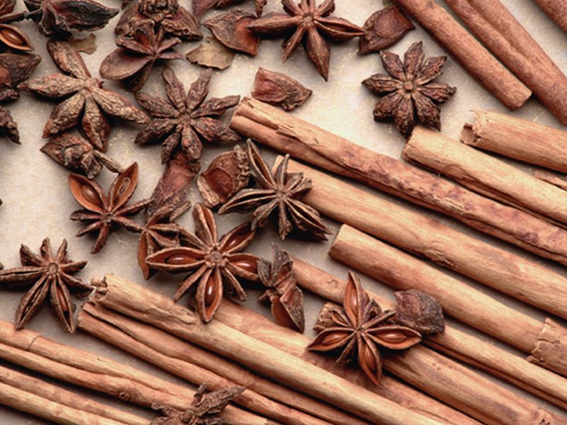 Cinnamon Shows Potential As Tool in Fight Against Obesity