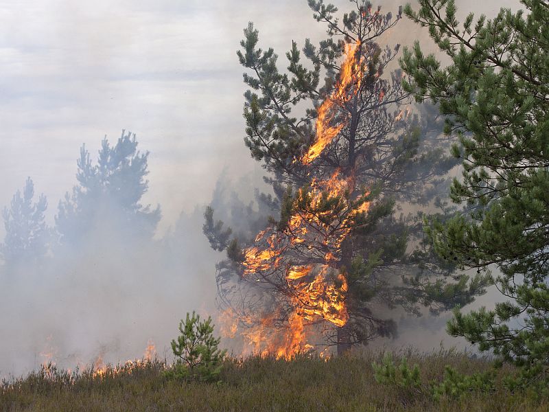 CDC: Wildfire Smoke Poses Health Risks