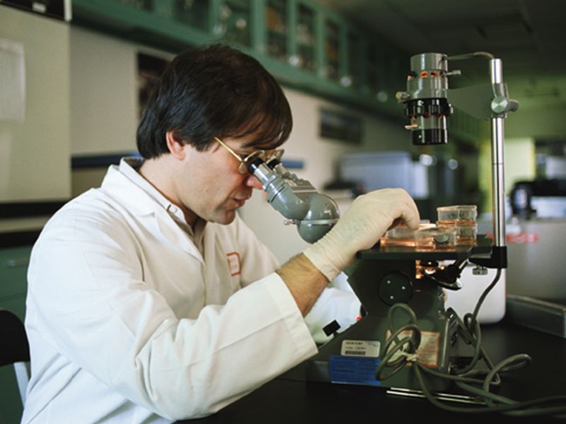 Immune Status Tied to Outcomes in Third-Gen CAR T-Cell Therapy