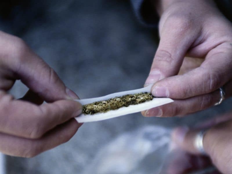 14.6 Percent of U.S. Adults Used Marijuana in Past Year