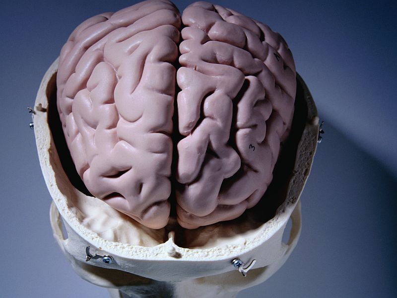 β-2 Adrenergic Agonists May Help Fight Parkinson's Disease