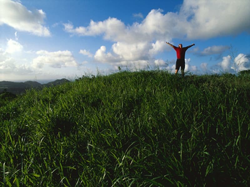 Greening Vacant Land Improves Neighborhood Mental Health